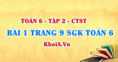 Bài 1 trang 9 SGK Toán 6 Tập 2 Chân trời sáng tạo